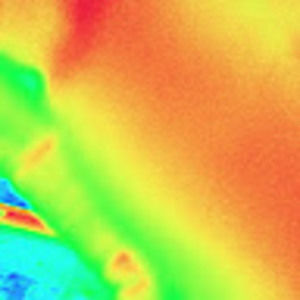 Meet your Posher, Briana